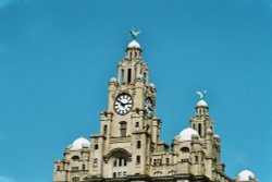 The top of the Liver Building, Liverpool Wallpaper