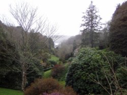 Glendurgan Gardens, view toward Durgan & the Helford River