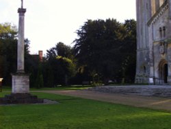A picture of Wilton
