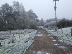 Late December 2005.
A cold day walking near Moulton, Cheshire
