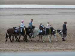 Children enjoying Donkey rides on the sea front at Blackpool, Lancashire Wallpaper