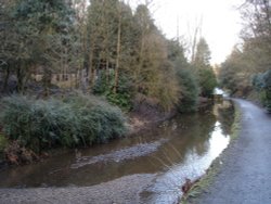 The stream that flows through Sunnyhurst Woods, Darwen, Lancashire. Wallpaper