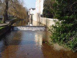 Dawlish, Devon Wallpaper