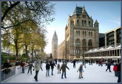Winter Ice Skating at the Natural History Museum, London. Wallpaper