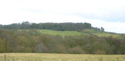Shipley Hill, formerly the site of the 18th Century Shipley Hall, Shipley Country Park, Derbyshire