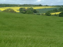 Clayton, summer views towards South Emsall