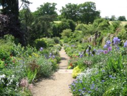 This is a photo taken of the Herbaceous Border at Benington Lordship, Hertfordshire. Wallpaper
