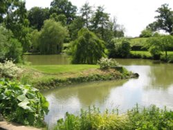This is a view of the Pond, taken from the Rockery of Benington Lordship, Hertfordshire Wallpaper