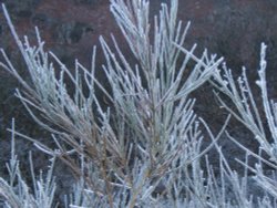 Langdale Pikes, frozen tarn on Lingmoor Fell in the foreground. Wallpaper