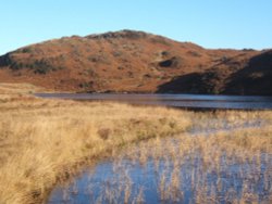 Beacon Tarn set in the Blawith Fells, Cumbria.