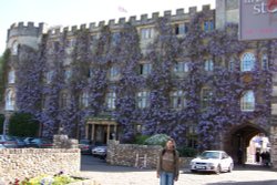 Castle Hotel in flower, Taunton, Somerset Wallpaper