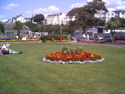 Exmouth floral displays on the seafront Wallpaper