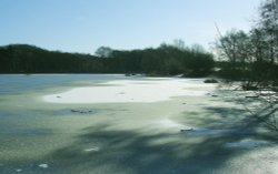 Osborne's Pond, Shipley Country Park, Heanor, Derbyshire in winter