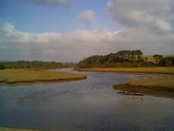 The river at Budleigh Salterton just behind the beach, is an RSPB reserve