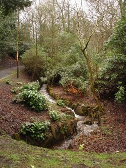 A picture of Bold Venture Park