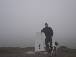 One Man And His Dog on a cold and misty day in march 06 on the Darwen Moor, Darwen, Lancashire. Wallpaper