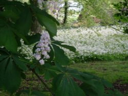 Above Ventnor. Wallpaper