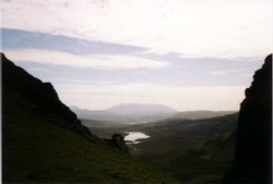 view from