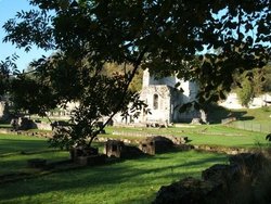 Roche Abbey, Maltby Wallpaper