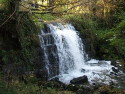 Roche Abbey, Maltby Wallpaper