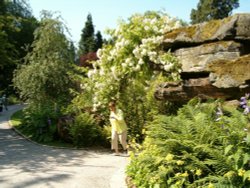 Picture taken on the Chatsworth estate 2005 Wallpaper