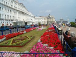 Flowers on the Eastbourne parade Wallpaper