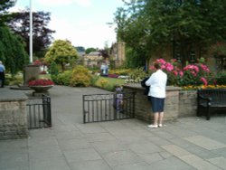 Flowers in Bakewell, Derbyshire Wallpaper