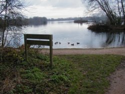 View across lake, Kingsbury Water Park, Kingsbury, Warwickshire Wallpaper