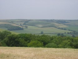 Sydling St Nicholas. Dorset