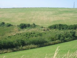 Sydling St Nicholas. Dorset