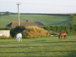 Sydling St Nicholas. Dorset