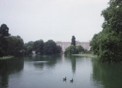 St. James´s Park and Buckingham Palace Wallpaper