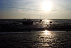 Leigh-on-Sea, Essex. Fishing is still important at Old Leigh.