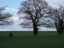 Field near the lakes in Henlow, Bedfordshire