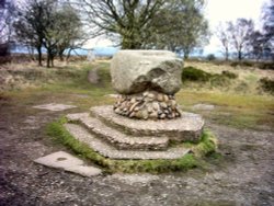 Glacial boulder and trig point on Cannock Chase, Staffordshire Wallpaper