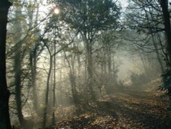 Pleasington, Blackburn. On a Cold November morning.