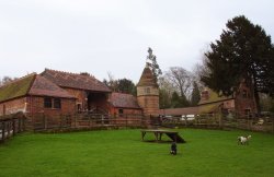 A picture of Shipley Country Park