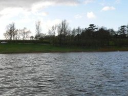 Draycote Water in April