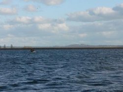 Draycote Water in April