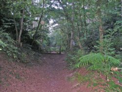 Gated Alvanley Rd entrance at bottom of Helsby Hill. Wallpaper