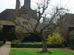 Bateman's Garden