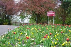 Victoria Park, Ilkeston, Derbyshire Wallpaper