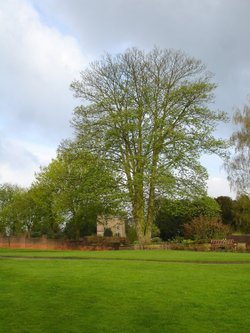 On Shipley Hill, Shipley Country Park, Derbyshire - the old water tower is in the background.