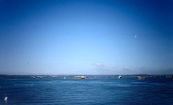 Langstone Harbour.

Taken:  5th May 2006 Wallpaper