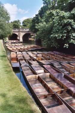 Botanical Gardens, Oxford