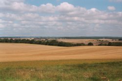 View from Badbury Rings, Near Wimborne, Dorset Wallpaper
