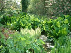 The pond outside the garden shop at Spinners Wallpaper