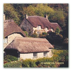 Thatched Cottages, Buckland-in-the-moor, Dartmoor, County Devon, England