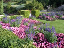 A photo of a garden in Tunbridge Wells, Kent. Wallpaper
