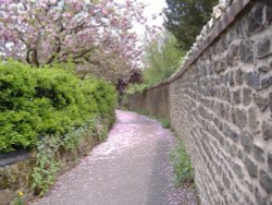 Guildford Palace - Garden Walkway Wallpaper